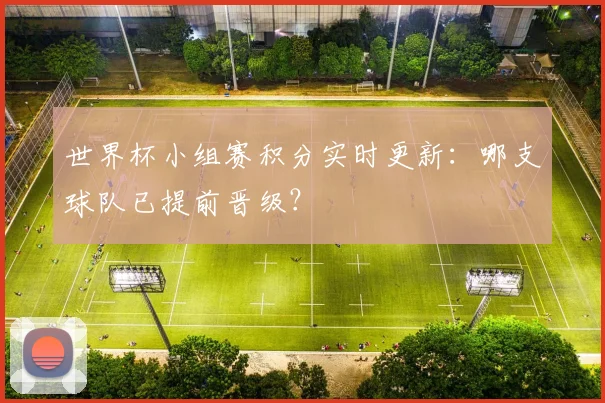 世界杯小组赛积分实时更新：哪支球队已提前晋级？