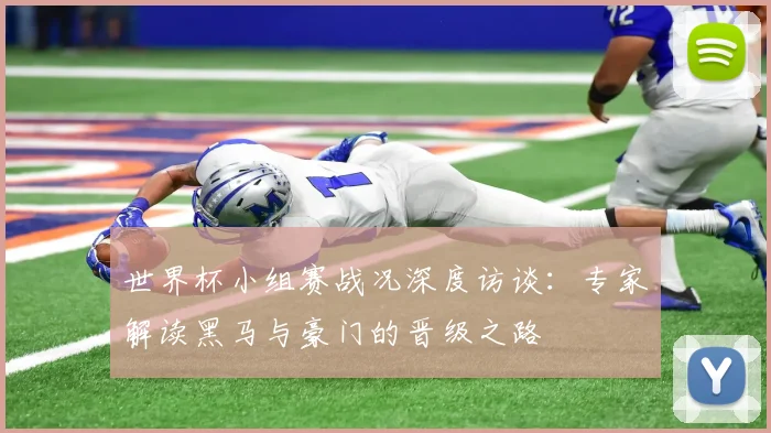 世界杯小组赛战况深度访谈：专家解读黑马与豪门的晋级之路