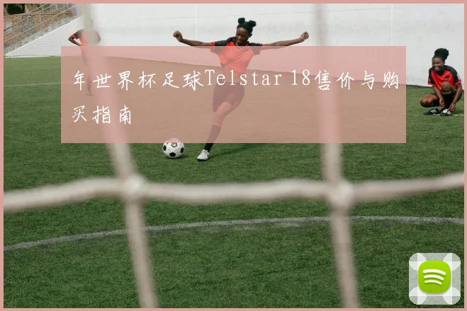 年世界杯足球Telstar 18售价与购买指南