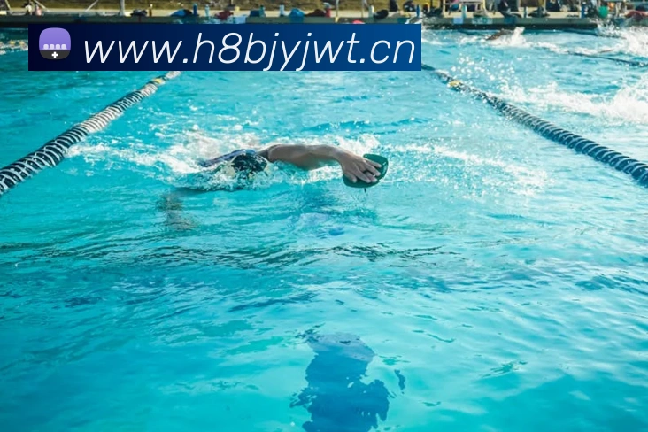 多媒体互动体验